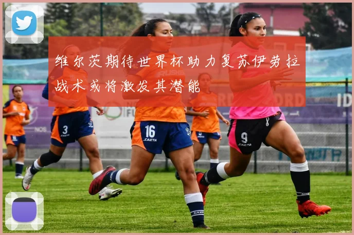 维尔茨期待世界杯助力复苏伊劳拉战术或将激发其潜能