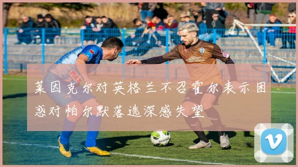 莱因克尔对英格兰不召霍尔表示困惑对帕尔默落选深感失望